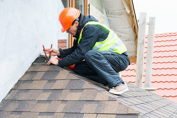 Best Local Roofing Companies  in Carbon Hill, AL