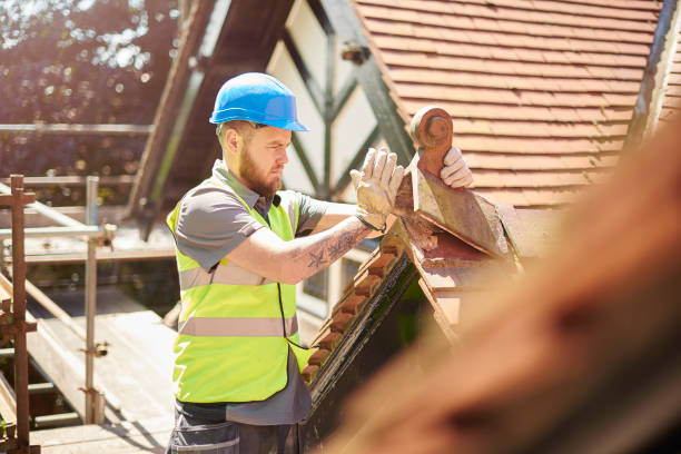 Best Best Roofing Contractors  in Carbon Hill, AL