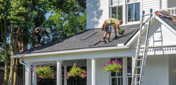 Best Roof Gutter Cleaning  in Carbon Hill, AL
